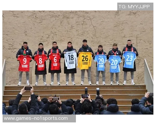 波斯尼亚足球队的崛起与挑战：在国际赛场上的奋斗与荣耀